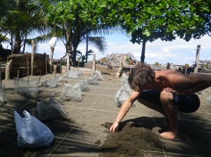 Surf Intensive students work on a sea turtle conservation project