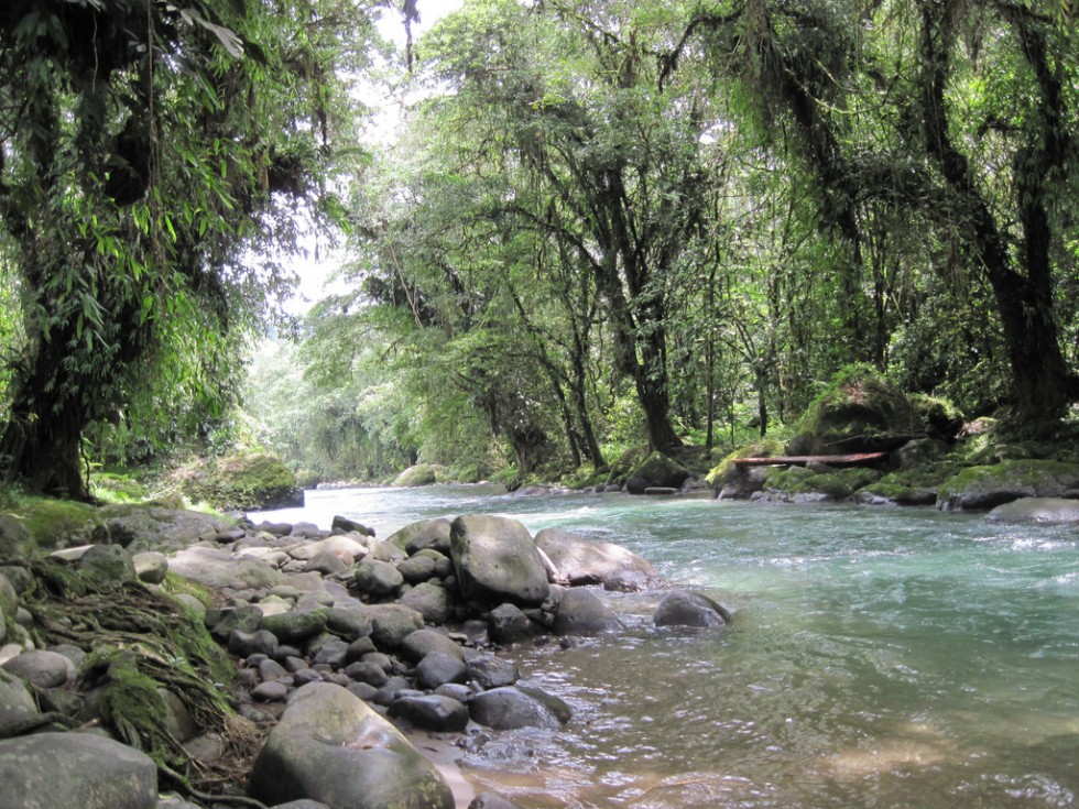 Río Pejibaye