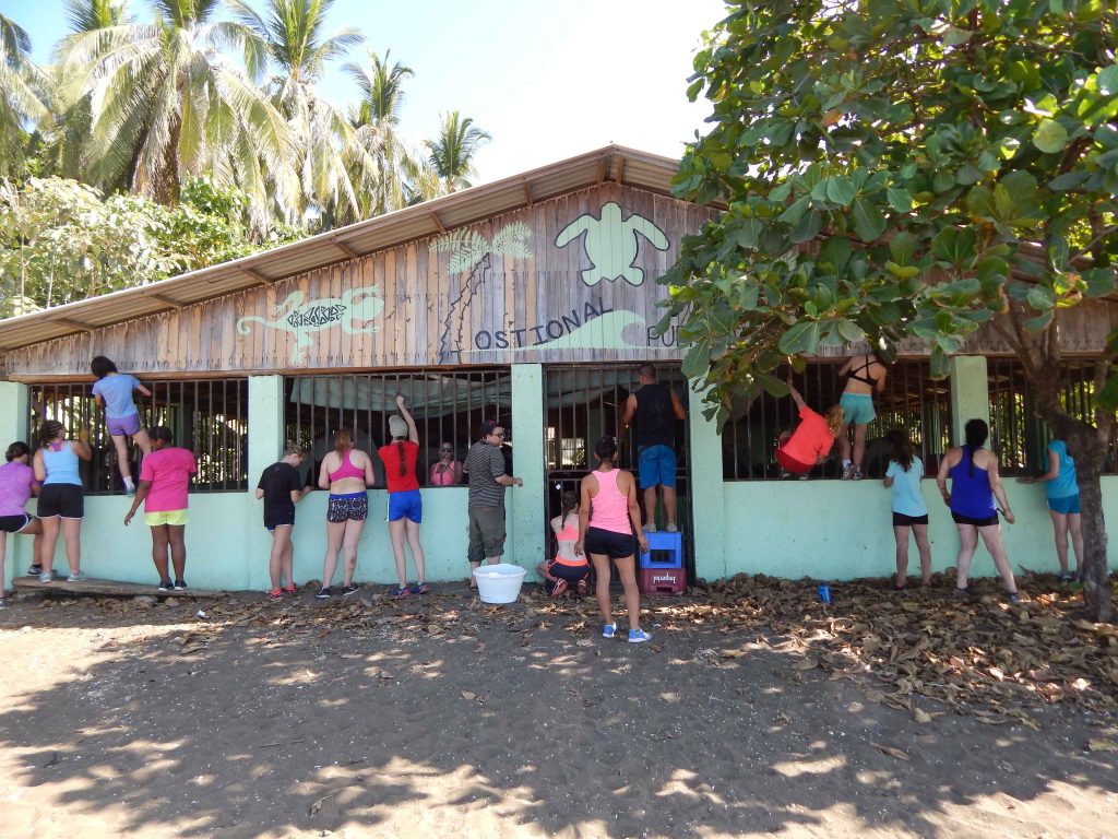 girl scouts work in playa ostional