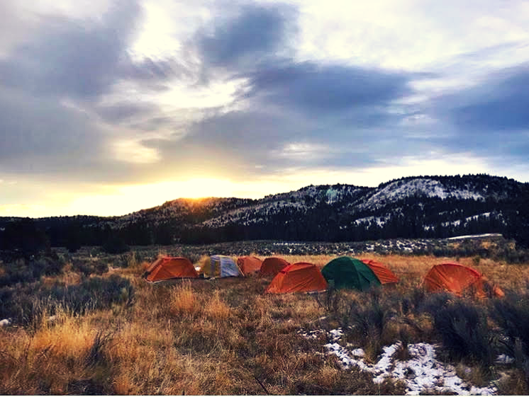 Orange and green tents on grass near snow covered hills
