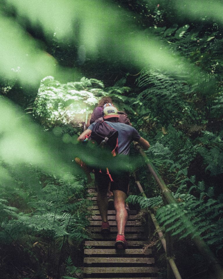 A man in the rainforest climbing up some stairs