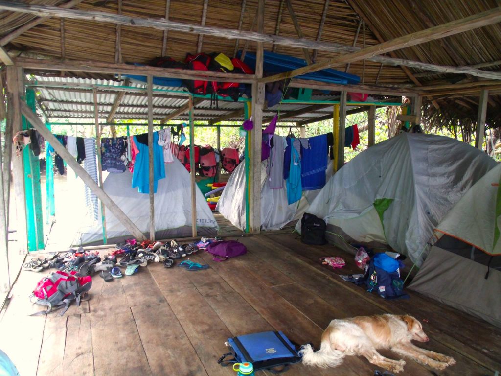 A room with tents and clothes hanging on washing lines and a dog lay on the floor